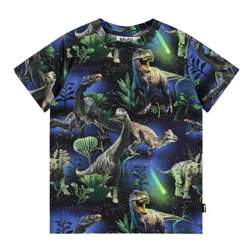 Molo Ralphie T-shirt Dinorama  Dinorama 140 cm  Blå  140 cm  mand