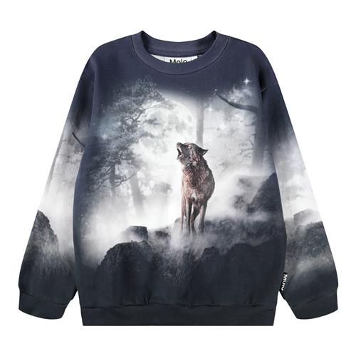 Molo Miksi Sweatshirt Moonlit Wolves  Moonlit Wolves 92 cm  Blå  92 cm  mand