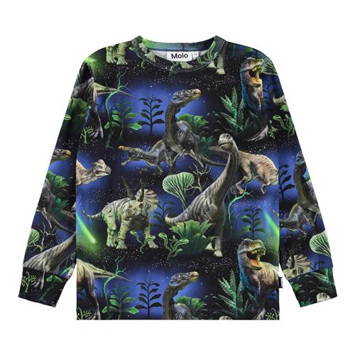 Molo Rill T-shirt Med Lange Ærmer Dinorama  Dinorama 104 cm  Blå  104 cm  mand