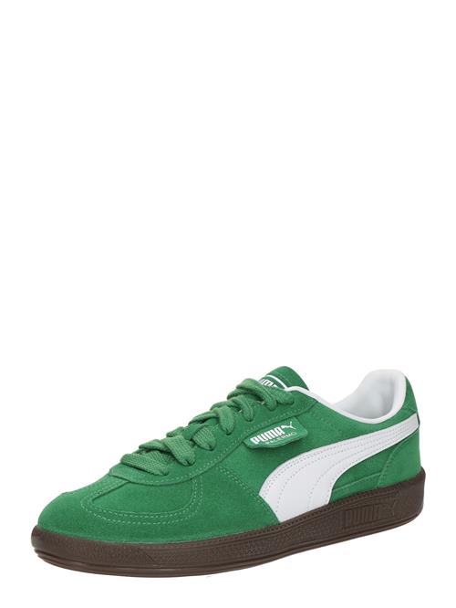 PUMA Sneaker low 'Palermo'  grøn / hvid