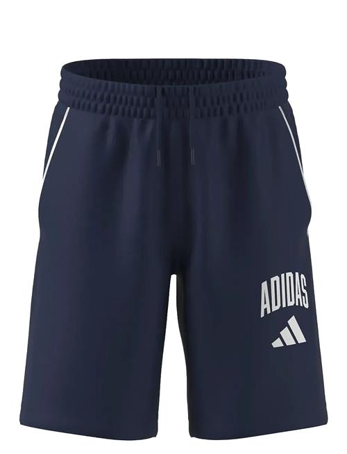J Clgt Ft Sho Adidas Sportswear Navy