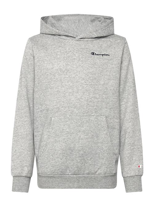 Hooded Sweatshirt Champion Grey