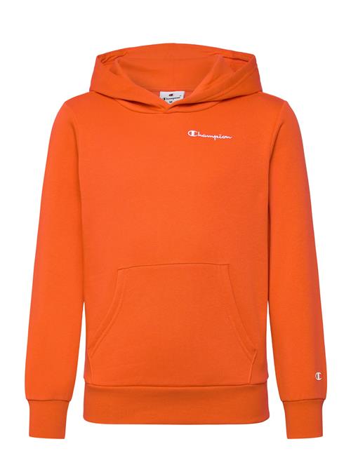 Hooded Sweatshirt Champion Orange