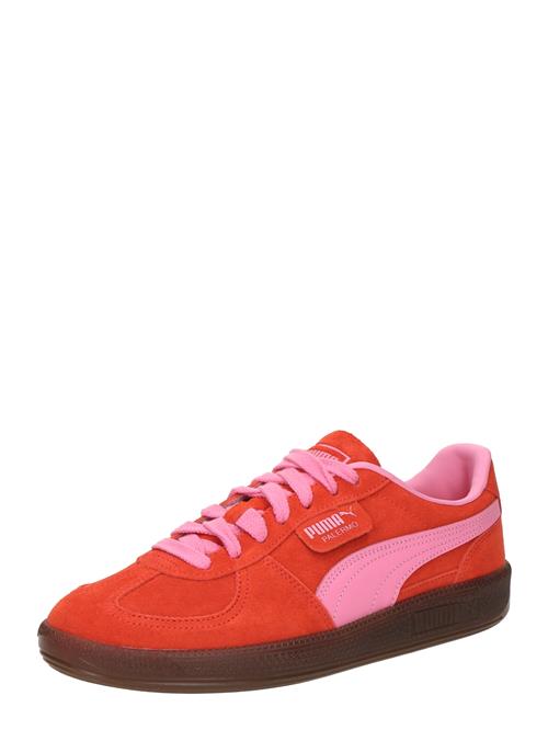 PUMA Sneaker low 'Palermo'  lys pink / lys rød