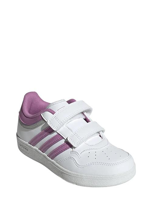 Hoops 4.0 Cf C Adidas Sportswear White