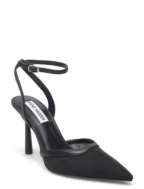 Alliance-M Steve Madden Black