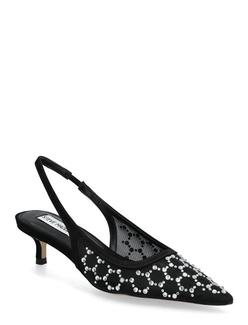 Kari-Mr Steve Madden Black