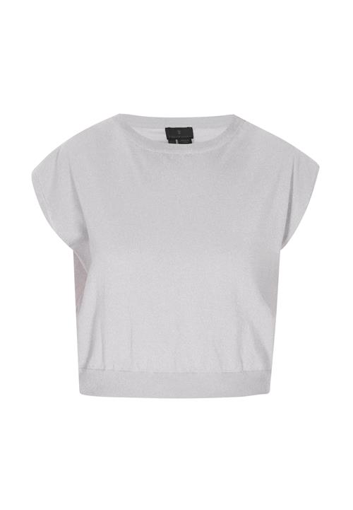 DreiMaster Klassik Shirts 'Classic Look'  grå