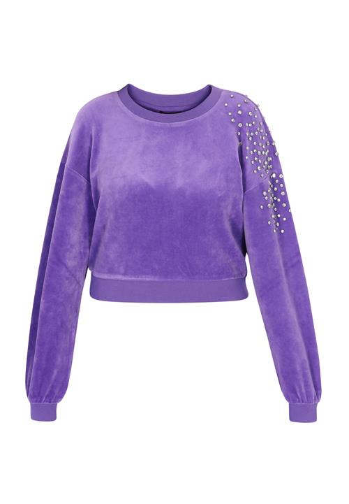 faina Sweatshirt 'Fashion Look'  mørkelilla / sølv