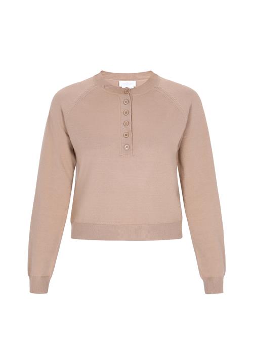 usha BLUE LABEL Pullover  beige