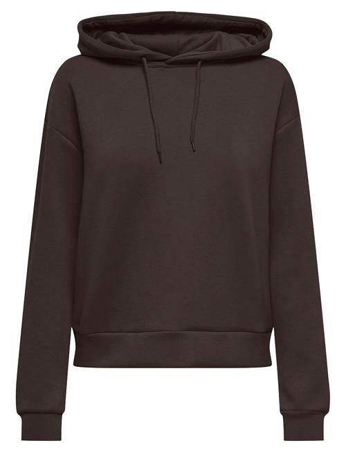 Onplounge Hood Ls Swt Noos Only Play Brown