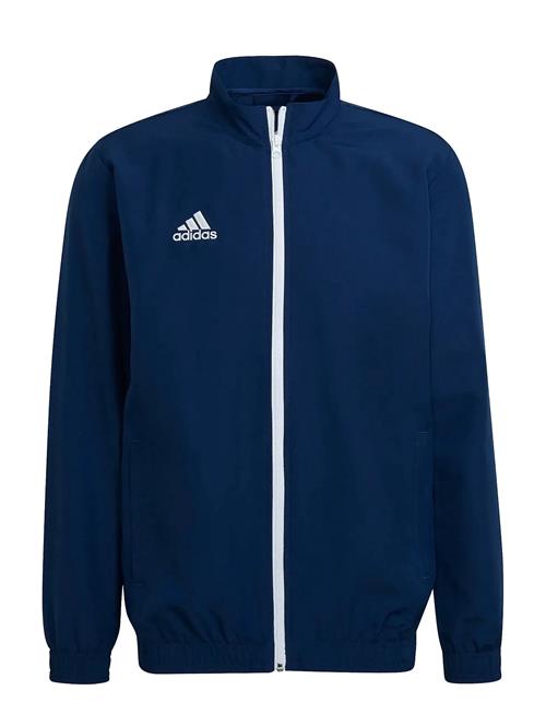 Ent22 Pre Jkt Adidas Performance Navy