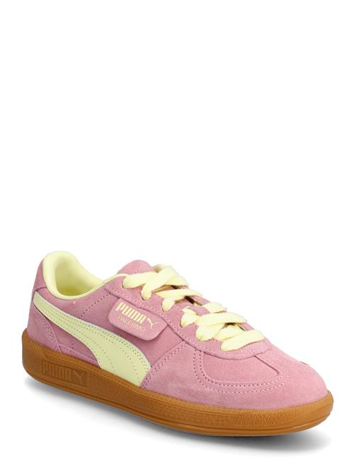 Palermo PUMA Pink