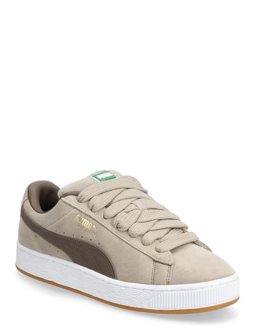 Suede Xl PUMA Beige