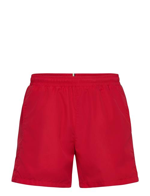 Se Dolphin BOSS Red ved Booztlet