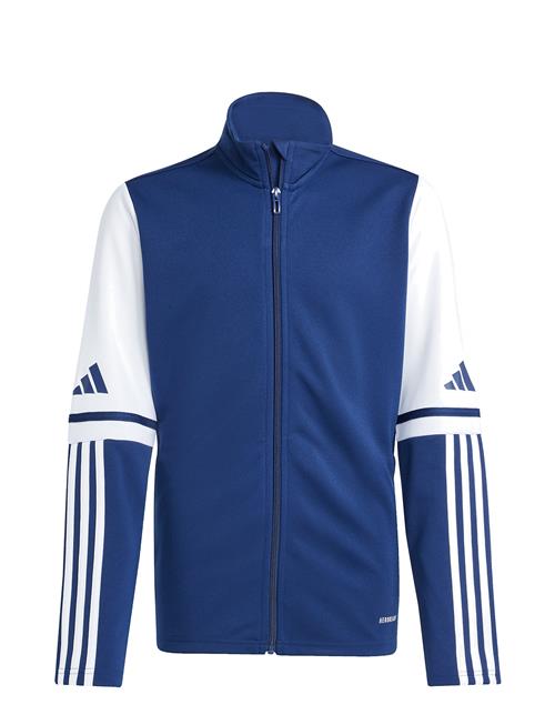Sq25 Tr Jkt Y Adidas Performance Navy