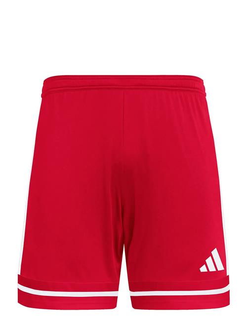 Squa25 Sho M Adidas Performance Red