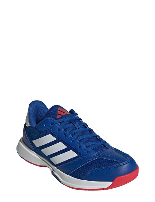 Ligra 8 M Adidas Performance Blue