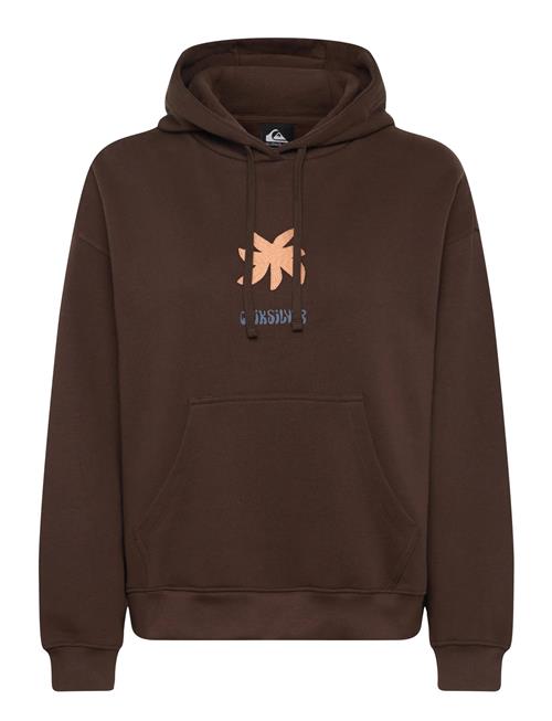 Standard Hoodie Quiksilver Brown