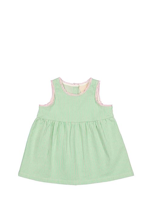 Daely MarMar Copenhagen Green