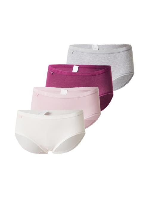 SLOGGI Panty 'Basic+'  grå-meleret / lyserød / mørk pink / naturhvid