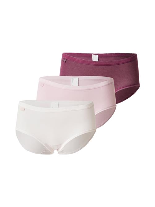 SLOGGI Panty 'Basic+'  brombær / lyserød / hvid
