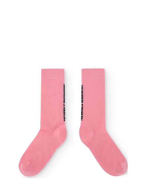Snail Kid Socks Pink THE ANIMALS OBSERVATORY Pink