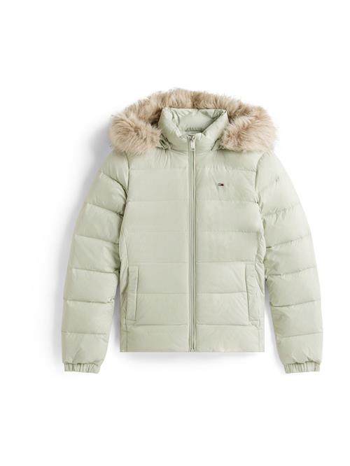 Tommy Jeans Vinterjakke  navy / pastelgrøn / rød / hvid