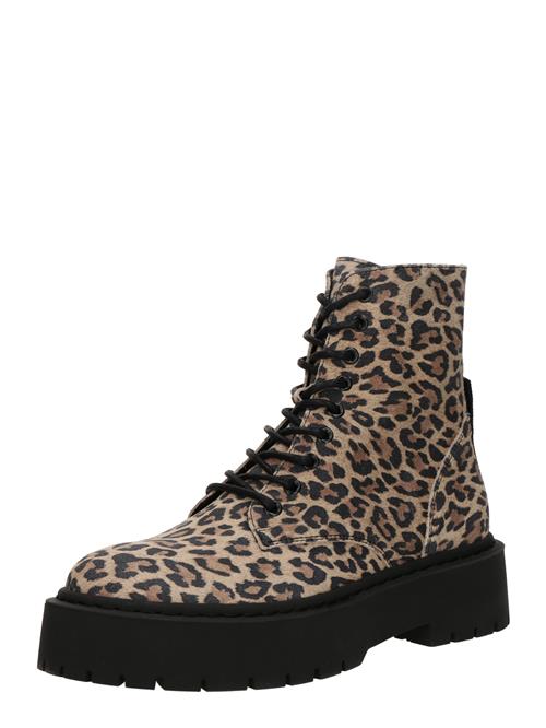 STEVE MADDEN Snørestøvletter 'Skylar'  cappuccino / mørkebrun / sort