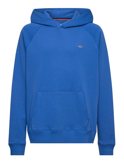 Shield Hoodie GANT Blue