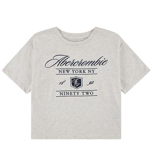 Abercrombie & Fitch T-shirt - Oatmeal Heather