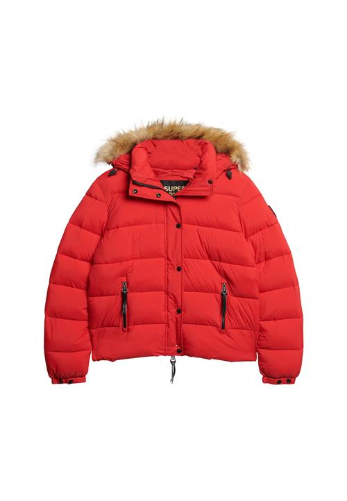 Superdry Vinterjakke  beige-meleret / lys rød