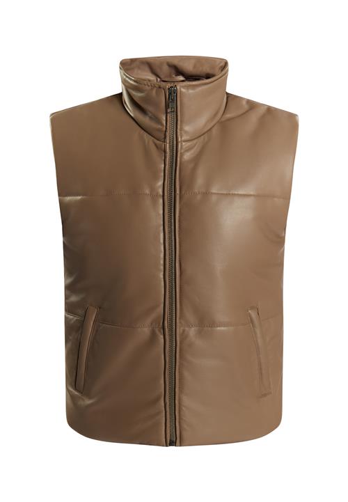 Se DreiMaster Vintage Vest 'Imane'  sepia ved About You