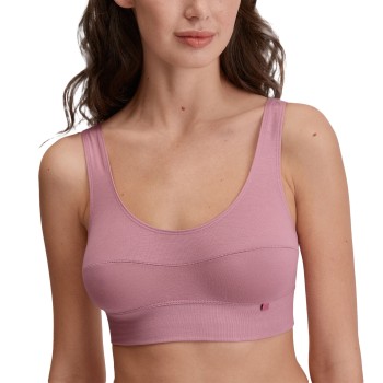 Calida Bh Elastic Top Lyseviolet bomuld Large Dame
