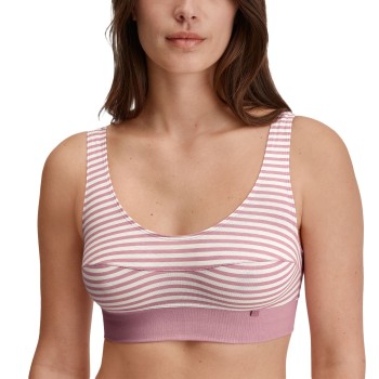 Calida BH Elastic Top Rosa stribet bomuld Medium Dame