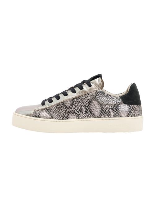 AllSaints Sneaker low 'SHANA MET'  grå / sort / sølv