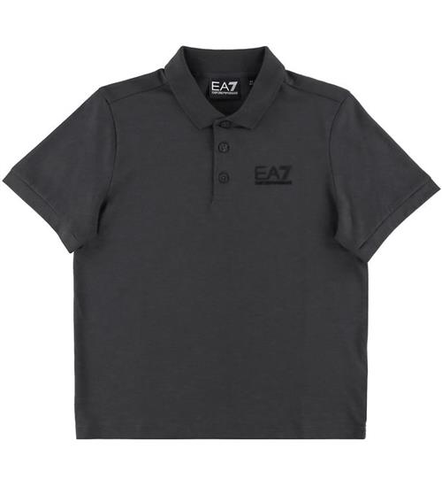 EA7 Polo - Asphalt