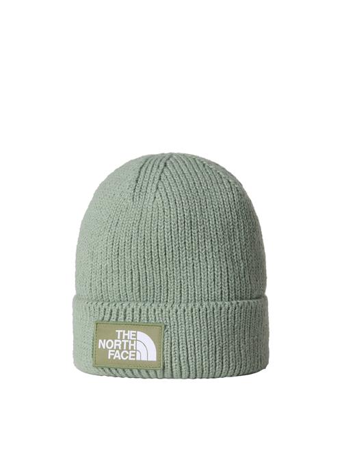 THE NORTH FACE Hue  pastelgrøn
