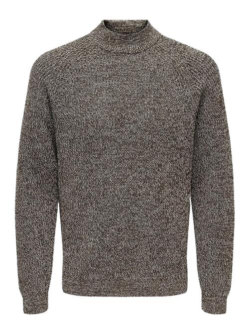 Onsfelip Life Reg 5 Twist High Neck Knit ONLY & SONS Brown