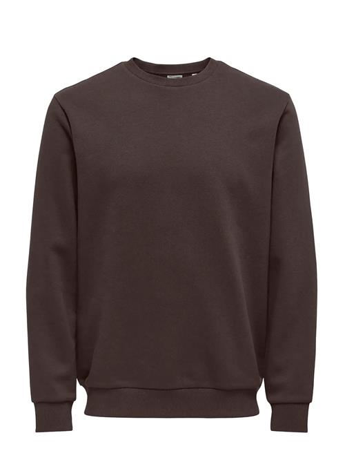 Onsceres Life Crew Neck ONLY & SONS Brown