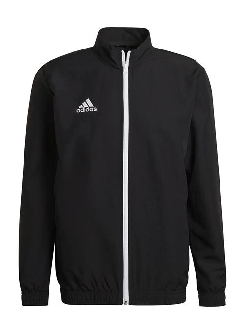 Ent22 Pre Jkt Adidas Performance Black