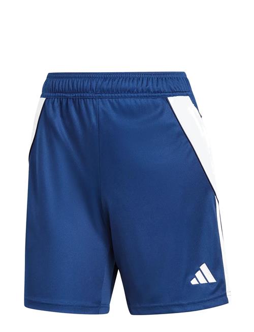 Tiro24 Trshow Adidas Performance Navy