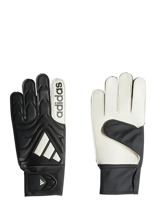 Se Copa Gl Clb Adidas Performance Black ved Booztlet
