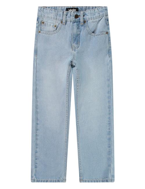 Andy Molo Blue