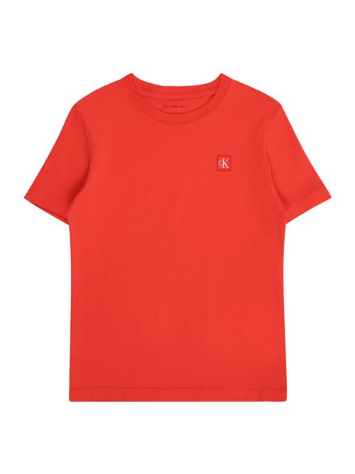 Calvin Klein Jeans Shirts  mørkeorange / hvid