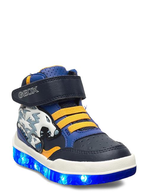 J Buzzerlight Boy E GEOX Navy
