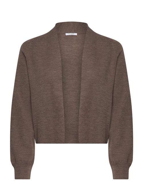 Knit Cwceline Claire Woman Brown