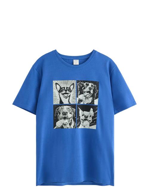 T Shirt Schoolstart Lindex Blue