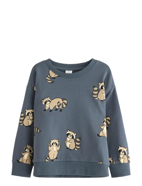Sweatshirt Racoon Lindex Blue