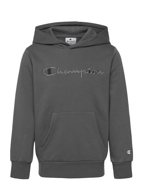 Hooded Sweatshirt Champion Grey